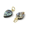 Natural Paua Shell/Abalone Shell Carved Pendants PALLOY-JF05615-01-2