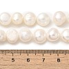 Natural Cultured Freshwater Pearl Beads Strands PEAR-A006-10B-5