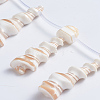 Natural Trochid Shell/Trochus Shell Beads Strands SSHEL-L016-15-3