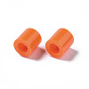 PE Fuse Beads X-DIY-R013-77-3