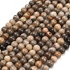 Natural Fossil Coral Beads Strands G-C288-A01-6mm-2