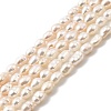 Natural Cultured Freshwater Pearl Beads Strands PEAR-I007-01L-01A-2