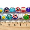 Handmade Lampwork Beads Strands LAMP-H001-01-4