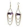 Natural Amethyst Dangle Earrings EJEW-JE07287-01-2