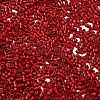 Baking Paint Glass Seed Beads SEED-S042-05B-89-3