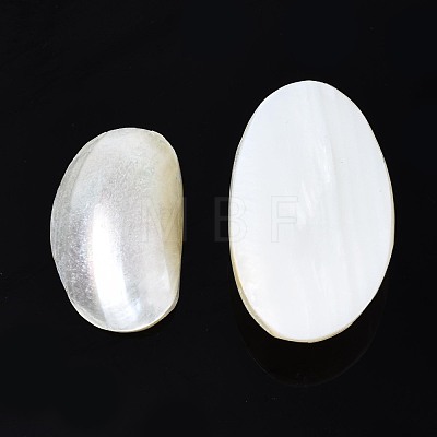 Natural Conch Shell Cabochons SSHEL-N034-91-1