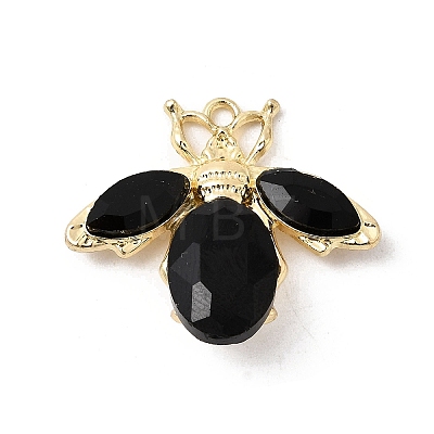 Alloy Rhinestone Pendants FIND-H055-12G-1