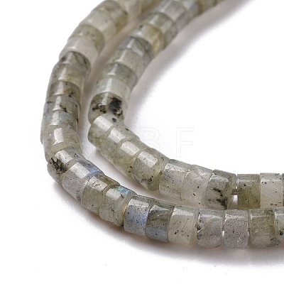 Natural Labradorite Beads Strands G-P468-16-1