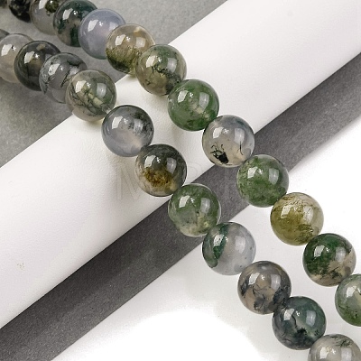 Natural Moss Agate Beads Strands G-J358-01-10MM-1