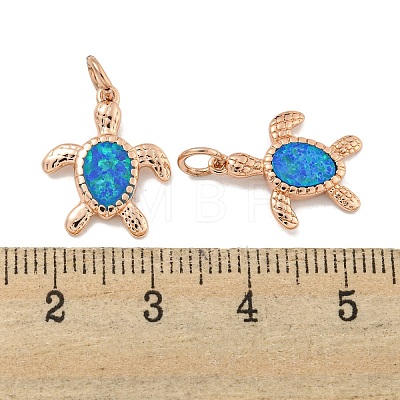 Synthetic Opal Pendants KK-E114-03RG-1