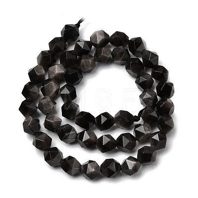 Natural Silver Obsidian Beads Strands G-Z119-A11-02-1