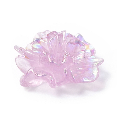 Resin Cabochon LS-RESI-E033-01-1