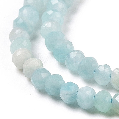 Natural Amazonite Beads Strands G-E194-02B-1