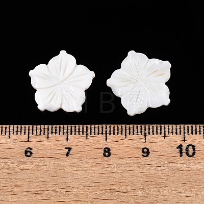 Natural Freshwater Shell Carved Cabochons SSHEL-T017-03-1