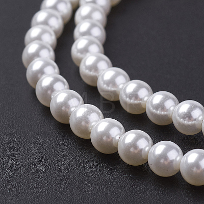 Shell Pearl Bead Strands X-BSHE-P023-3mm-1