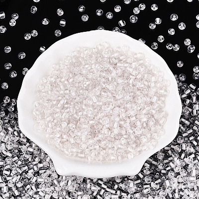 Glass Seed Beads SEED-T007-10B-1