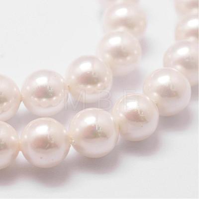 Rainbow Plated Shell Pearl Bead Strands BSHE-L025-02-6mm-1