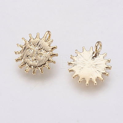 Long-Lasting Plated Brass Charms KK-F741-04G-1