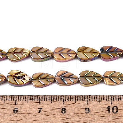 Natural Freshwater Shell Carved Beads Strands SHEL-N038-25D-1