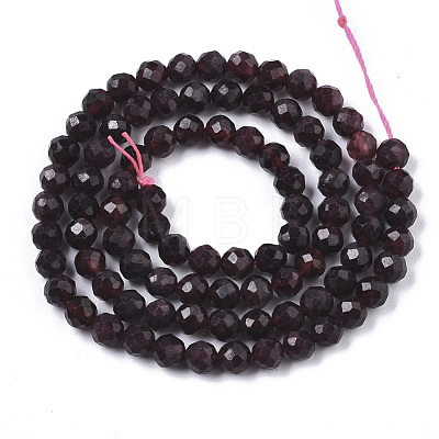Natural Garnet Beads Strands G-R462-015-1