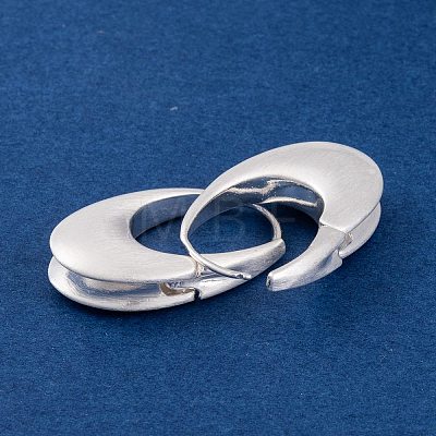 Oval Brass Hoop Earrings for Women EJEW-G391-09S-1