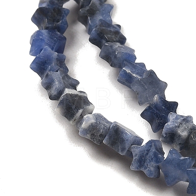 Natural Sodalite Beads Strands G-G085-B18-01-1