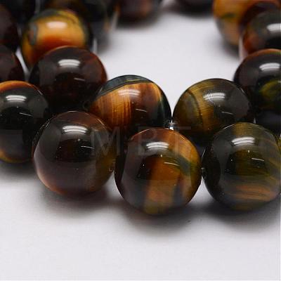 Natural Tiger Eye Bead Strands G-P230-05-10mm-1