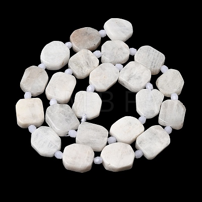 Natural Rainbow Moonstone Beads Strands G-L653-D01-01-1