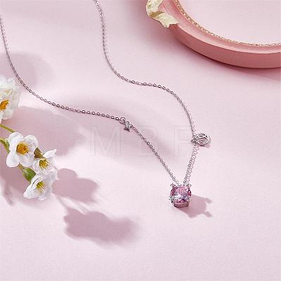 925 Sterling Silver Zircon Pendant Necklace 12 Constellation Pendant Necklace Jewelry Anniversary Birthday Gifts for Women Men JN1088E-1