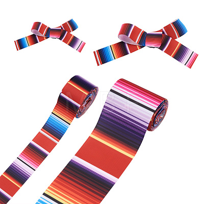 2 Rolls 2 Styles Stripe Pattern Printed Polyester Grosgrain Ribbon OCOR-TA0001-37D-1