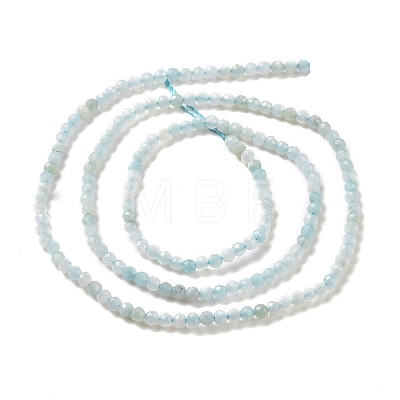 Natural Amazonite Beads Strands G-E351-10A-1