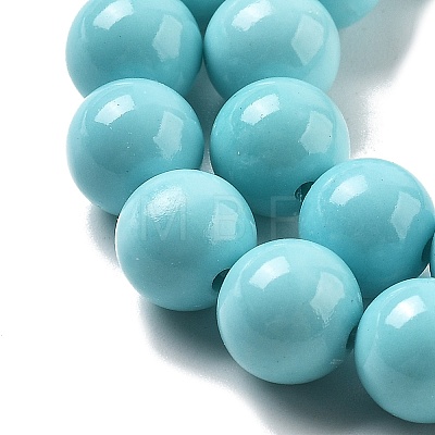 Synthetic Turquoise Beads Strands G-A255-A04-01B-1