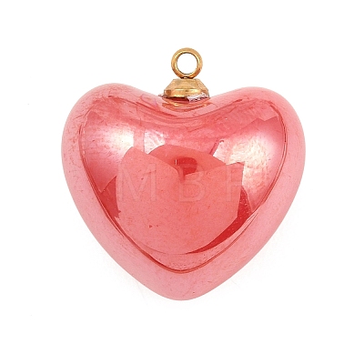 304 Stainless Steel Resin Pendants STAS-K322-10A-01-1