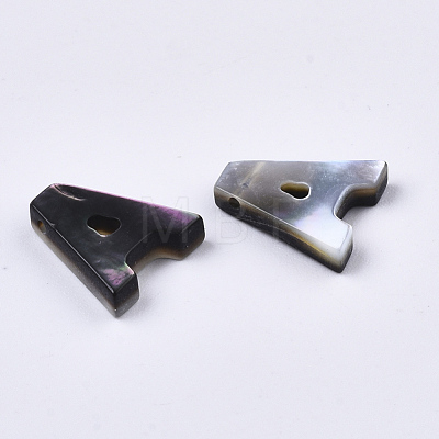 Natural Black Lip Shell Beads SSHEL-S265-001A-1