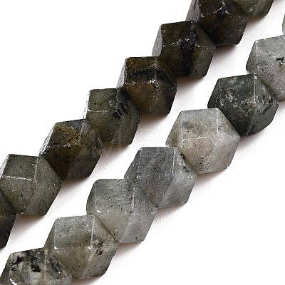 Natural Labradorite Beads Strands G-T138-37-1