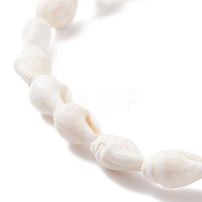 Natural Shell Beaded Bracelet X-BJEW-JB08162-1