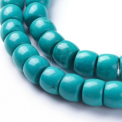 Natural Magnesite Beads Strands TURQ-G152-G02-1