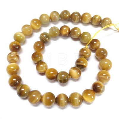 Natural Tiger Eye Beads Strands X-G-G544-10mm-01-1