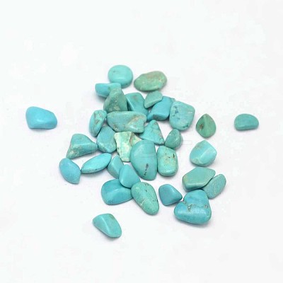 Dyed & Heated Natural Magnesite Chip Beads G-L453-01-1