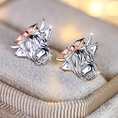 Alloy Stud Earrings FS-WG2CFEC-01-1