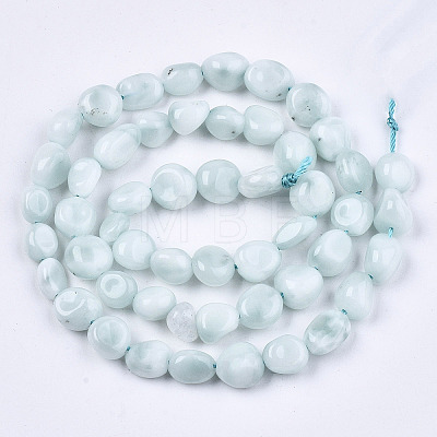 Natural Glass Beads Strands G-S362-084-1