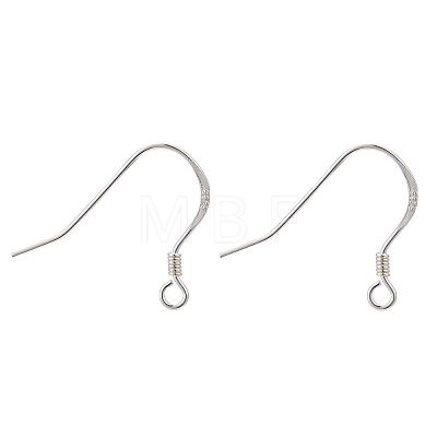 925 Sterling Silver Earring Hooks STER-K167-049C-S-1