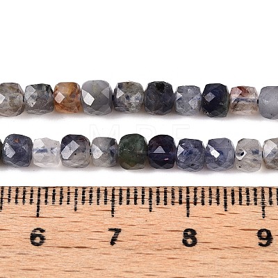 Natural Iolite Beads Strands G-N342-112B-1