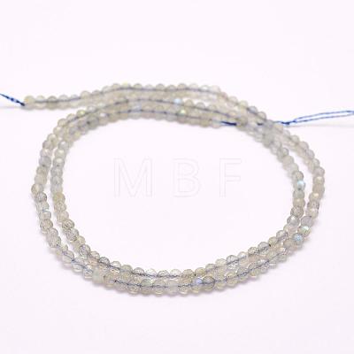 Natural Labradorite Beads Strands G-F509-03-4mm-1