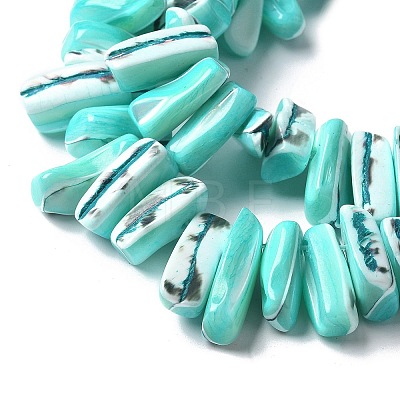 Dyed Natural Trochus Shell Beads Strands SSHEL-C013-09M-1