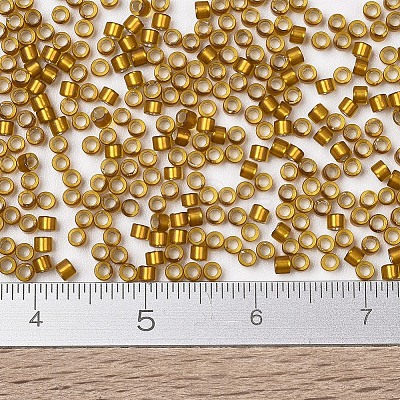 MIYUKI Delica Beads SEED-X0054-DB1681-1