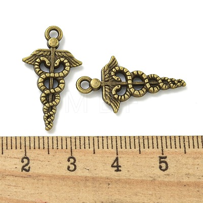 Tibetan Style Alloy Pendants TIBE-I026-6007AB-1