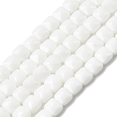 Opaque Glass Beads Strands GLAA-L050-C24-1