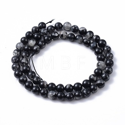 Natural Black Tourmaline Beads Strands X-G-F666-05A-6mm-1