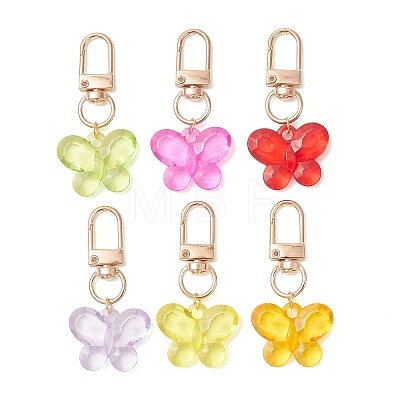 Acrylic Pendant Decoration HJEW-JM04797-1